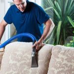 Understanding the Carpet Cleaning Process: What to Expect from Professionals