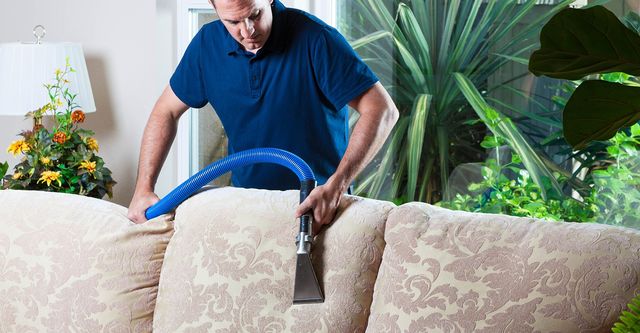 Understanding the Carpet Cleaning Process: What to Expect from Professionals